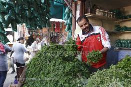 Image du Maroc Professionnelle de  À l’entrée du souk Semmarine de Marrakech, on découvre les marchands de menthe fraiche, le 11 Décembre 2011. Jadis quand les autocars avaient leur terminus sur la place Jemaa Al fana, lors d’un court ou long séjour dans la ville ocre, la plupart des visiteurs se ravitaillaient en menthe fraiche et en plantes aromatiques en guise de cadeau (barouk) de Marrakech. De nombreux commerçants étaient installés à l’entrée du Souk Semmarine. Ils vendaient aussi ces mêmes plantes séchées par les infusions. (Photo / Abdeljalil Bounhar)

 